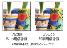 ［72dpi Web用解像度］［320dpi 印刷用解像度］※写真は解像度を比較する為のイメージです。